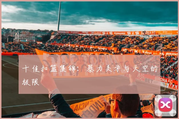 十佳扣篮集锦:暴力美学与天空的极限