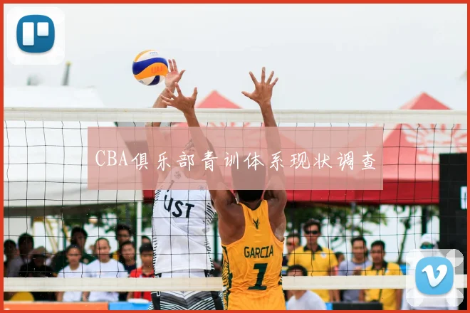 CBA俱乐部青训体系现状调查